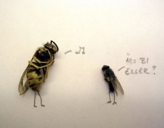 Притча за съзнанието на пчелата и мухата 