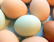 Яйцата намаляват риска от диабет 