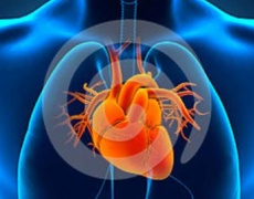 Как да тренираш за здраво сърце
