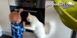 Котка не дава на бебе да си играе с печката