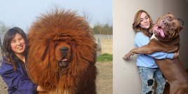 10 огромни кучета, които ще ви накарат да се усмихнете