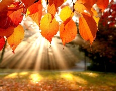 Притча за Есента, която ни помага да разберем желанията си