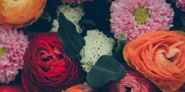 Какво е значението на 10-те най-популярни цветя