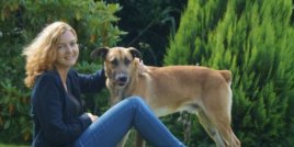 Трогателната история на бездомното куче Рубио