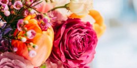 Открийте значението на тези популярни цветя за Свети Валентин
