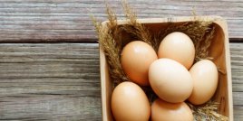  Полезните качества на яйцата