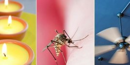  Как да предотвратите ухапванията от комари?