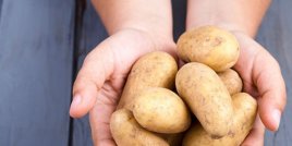  Полезните свойства на картофите