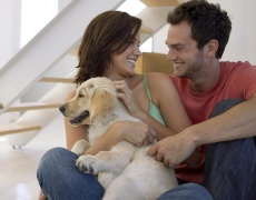 5 причини ти и гаджето да си вземете кученце