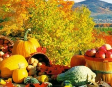 Най-полезните есенни супер плодове 