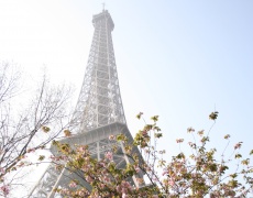 „Аз обичам Париж” на Линдзи Келк 