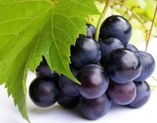 5 мита за гроздето