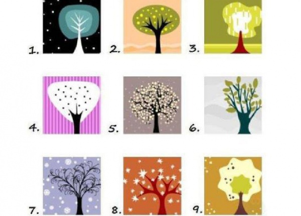 Тест: Изберете си дърво и разберете каква личност сте