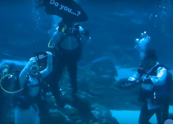 Невероятна сватбена церемония в аквариум