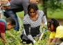 Зеленчуковата градина на Мишел Обама