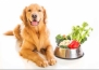 8 здравословни храни за вашето куче