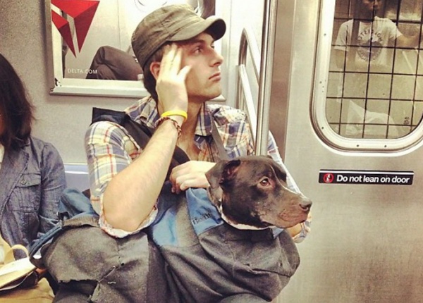Ето как се возят кучетата в метрото в Ню Йорк