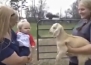 Разговор между бебе и козле