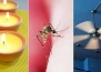  Как да предотвратите ухапванията от комари?