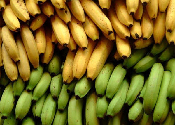 Узрелите срещу Неузрелите Банани: Кои са по-добри за вас?