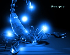 7-те принципа на всяка зодия: Скорпион