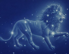 7-те принципа на всяка зодия: Лъв