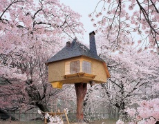 Уникално! Най-красивите къщи на дърво